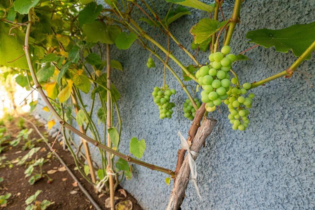 Cottage Pearl - Rural Holiday Experience By Seapearl Paul do Mar  Εξωτερικό φωτογραφία