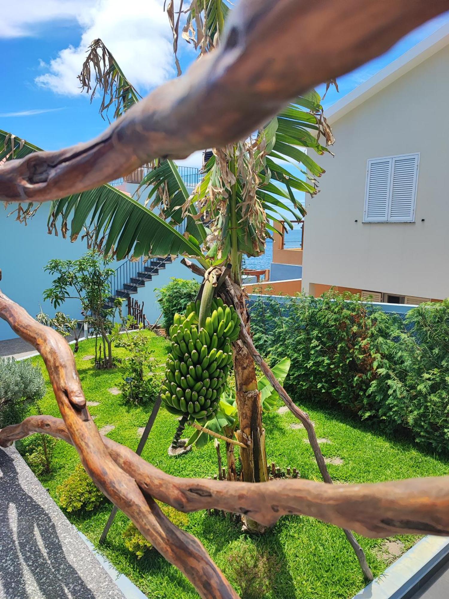 Cottage Pearl - Rural Holiday Experience By Seapearl Paul do Mar  Εξωτερικό φωτογραφία